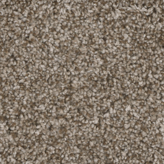 Dreamweaver Carpet Jackson Hole I Walnut Ridge DREAMWEAVER