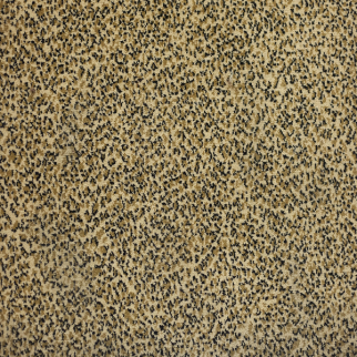 Kane Carpet Sophisticated Skins Kohl KANE