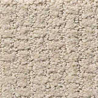 Shaw Floors Complete Control Studio Taupe SHAW
