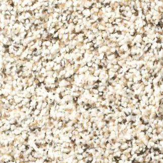 Shaw Floors Elemental Mix II Swiss Coffee SHAW