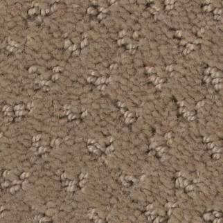 Tuftex Del Vista Sierra Hills SHAW