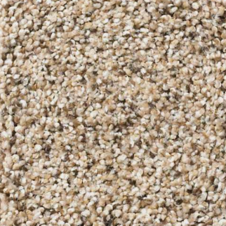 Shaw Floors Elemental Mix III Twine SHAW