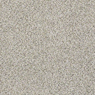 Shaw Floors Elemental Mix I Snowbound SHAW