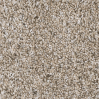 Dreamweaver Carpet Jackson Hole I Alpine Bay DREAMWEAVER