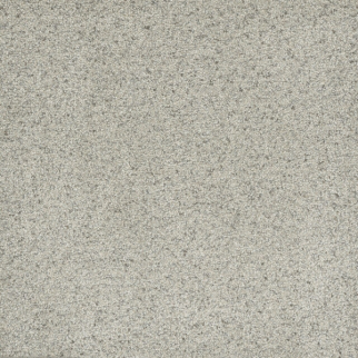 Dreamweaver Carpet Astounding II Celadon DREAMWEAVER