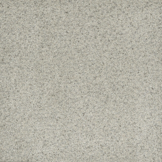 Dreamweaver Carpet Astounding III Celadon DREAMWEAVER