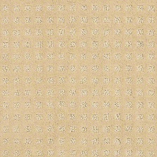 Shaw Floors Alluring Disposition Golden Rule SHAW
