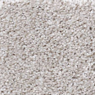 Shaw Floors Always Ready I Studio Taupe SHAW