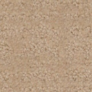 Dixie Home My Style Seashell
