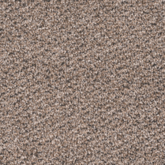 Tarkett Home Carpets Candler Park Salt Box LEXMARK