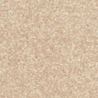Dixie Home Treasured Moment Safari Bisque