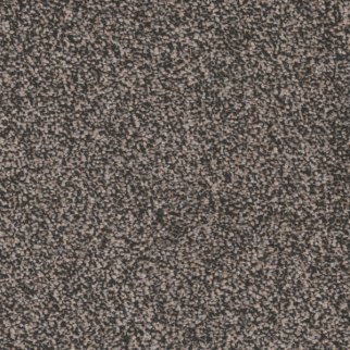 Tarkett Home Carpets Candler Park Georgian LEXMARK