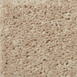 Shaw Floors All Star Weekend I 12' Honeycomb SHAW