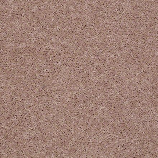 Shaw Floors All Star Weekend III 15' Honeycomb SHAW
