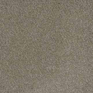 Dreamweaver Carpet Mill Creek I Polished Pebble DREAMWEAVER