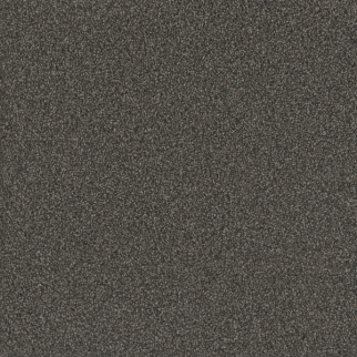 Dreamweaver Carpet No Limits I Magnetic DREAMWEAVER