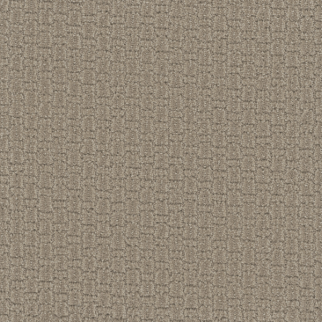 Dreamweaver Carpet Grand Isle Almond Bark DREAMWEAVER