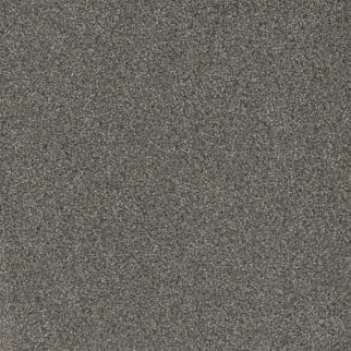 Dreamweaver Carpet Mill Creek I Rain Shadow DREAMWEAVER