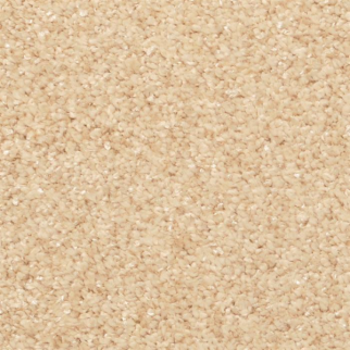 Masland Carpets Opalesque Apricot Masland