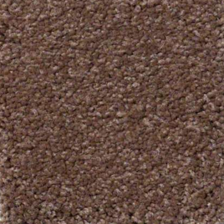 Shaw Floors Ultimate Expression 15' Tuscany SHAW