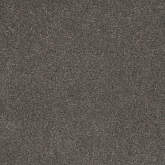 Dreamweaver Carpet Serene III Electric DREAMWEAVER