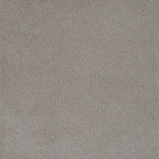 Dreamweaver Carpet Palmetto I Cherry Blossom DREAMWEAVER