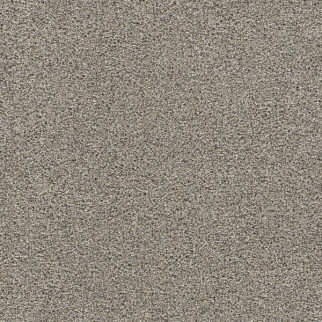 Dreamweaver Carpet Gold Standard III Note DREAMWEAVER