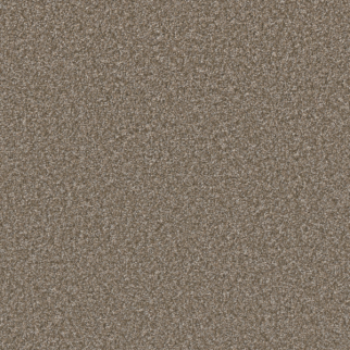Dreamweaver Carpet Excalibur IV Terrestrial DREAMWEAVER