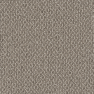 Dreamweaver Carpet Galactic Pebble Hill DREAMWEAVER