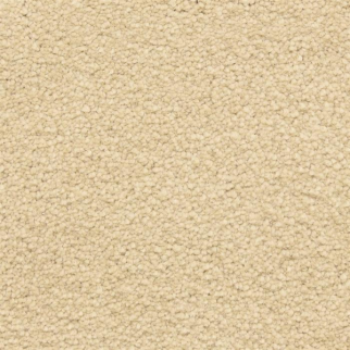 Masland Carpets Ravishing Appealing Masland