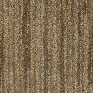 Masland Carpets Vivacity Ardor Masland