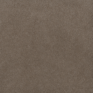 Dreamweaver Carpet Palmetto I Eagle Crest DREAMWEAVER