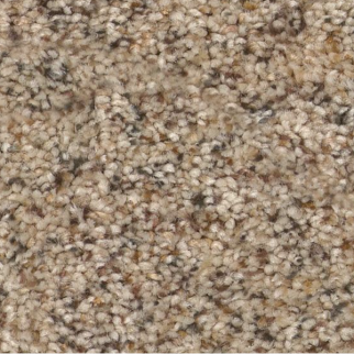 Tuftex Topanga Canyon Dogwood SHAW