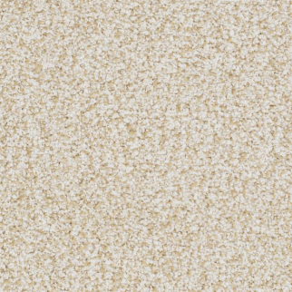 Masland Carpets St Augustine Everlasting Masland