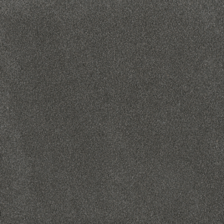 Dreamweaver Carpet Palmetto II Flint DREAMWEAVER