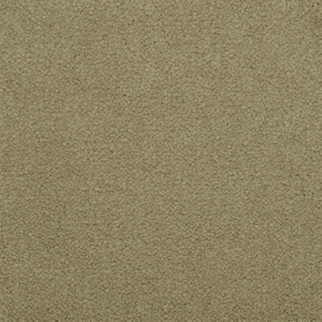 Masland Carpets Panache Alpine Masland