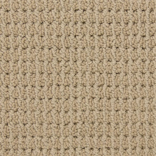 Masland Carpets Urban Escape Shingle Masland