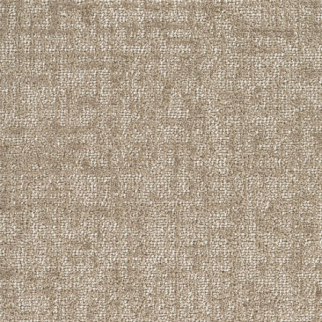 Masland Carpets Tapdance Studio Masland