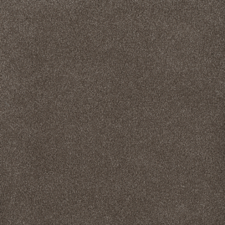 Dreamweaver Carpet Palmetto I Tea Time DREAMWEAVER