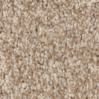 Tuftex Bossa Nova Beach Grass SHAW