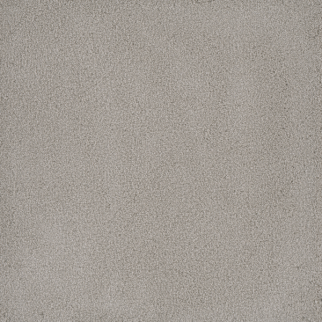 Dreamweaver Carpet Palmetto III Royalty DREAMWEAVER