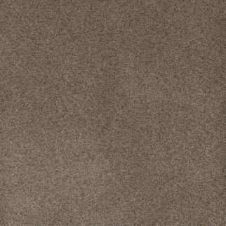 Dreamweaver Carpet Serene II Shellbark DREAMWEAVER
