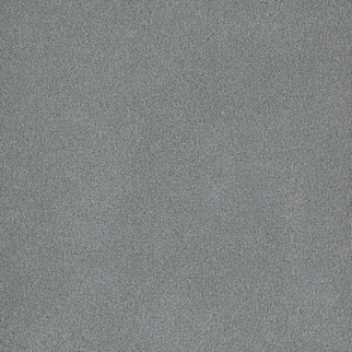 Dreamweaver Carpet Palmetto II Skylight DREAMWEAVER