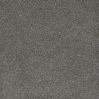 Dreamweaver Carpet Palmetto II Bay Leaf DREAMWEAVER
