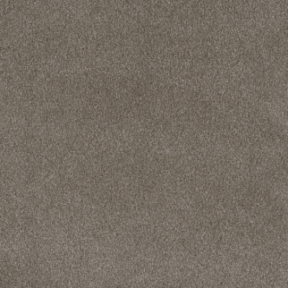 Dreamweaver Carpet Palmetto III Vienna DREAMWEAVER