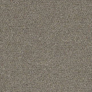 Dreamweaver Carpet Gold Standard II Pewter DREAMWEAVER