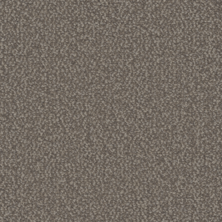 Dreamweaver Carpet Interstellar Molasses DREAMWEAVER