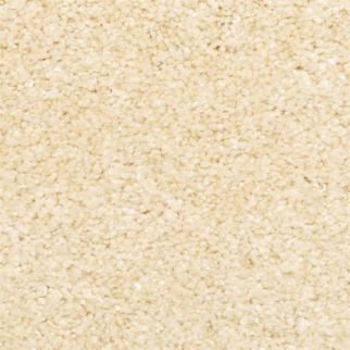 Masland Carpets Opalesque Shine On Masland