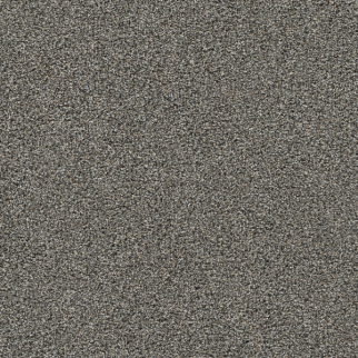 Dreamweaver Carpet Gold Standard I Graphite DREAMWEAVER