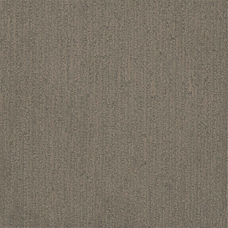 Dreamweaver Carpet Surfside Castleberry DREAMWEAVER